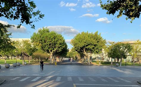 我为高中准备了什么材料,上高中有没有学籍