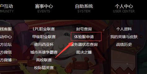 游戏的体验服怎么玩,在体验服玩游戏