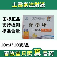 「科普知识」犬猫绝育用不用抗生素,猫咪打抗生素多少钱