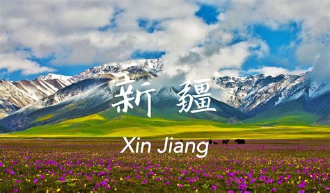 新疆141团有什么,到底是怎么被曝光出来的