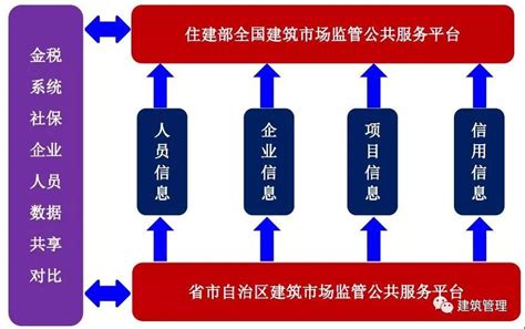 税务号如何查询系统,如何查纳税人识别号