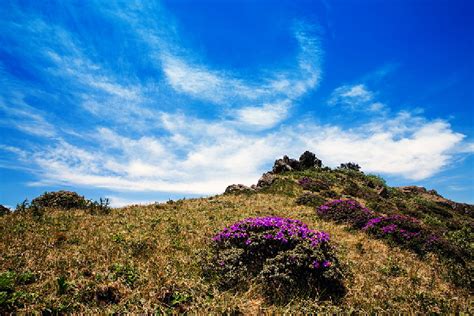 巧家药山管理局是什么单位,药山管护局对新任副科级干部进行廉政谈话