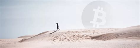 vsco买完的滤镜在哪里,滤镜有什么推荐的吗