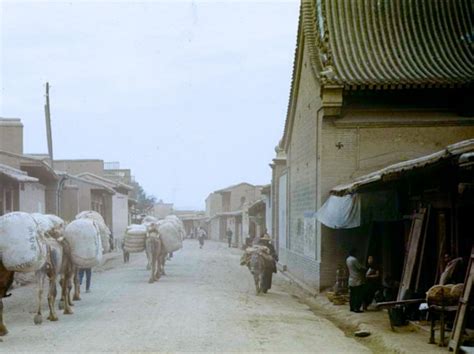 拉动经济的三驾马车,三大马车