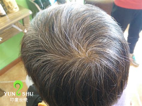 仙维娜洗发产品怎么样,海娜粉怎么染发效果好