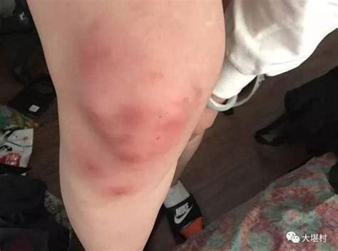 2022年性价比高的手机排行榜 性价比最高的手机排名