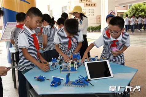 龙虎小学植树节活动,小学生活动怎么写