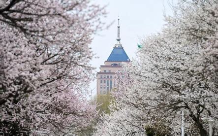 四川大学什么专业好考,四川大学有哪些好专业