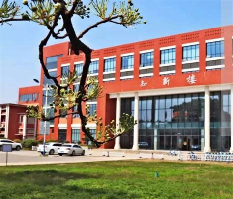 什么大学乐器专业好,想学一门简单易学的乐器