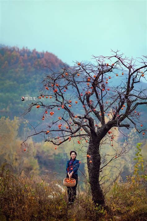 手机人像摄影在哪里,如何使用手机拍摄人像大片