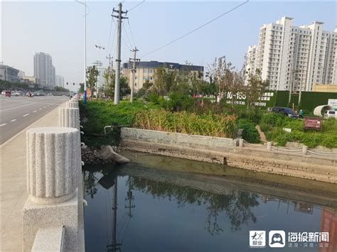 东营区农高区在哪里,农高区5年30个