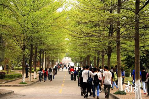 广州市华南农业大学,广东华南农业大学