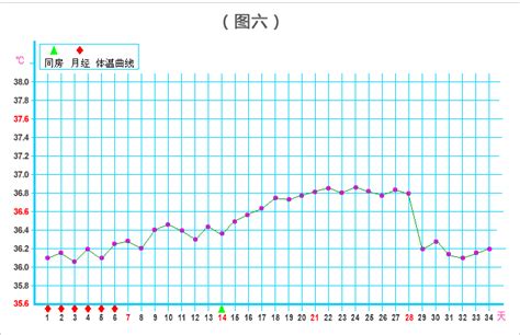 测试狗狗排卵期,狗测排卵温度要在多少正常