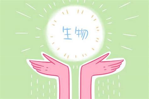 学好语文的五大好处,语文的作用是什么