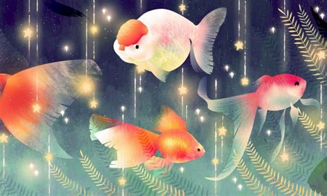 漳州有什么中午学校,漳州有哪些好的职业学校