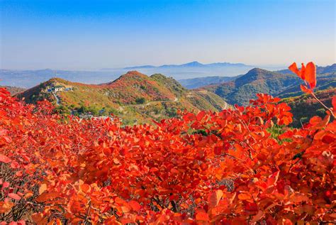 韩国三星旗下游乐场,三星乐园