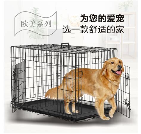 拉布拉多犬笼子多少钱,养一只犬的月花销大概是多少