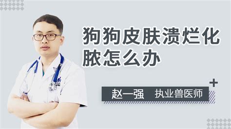 狗狗得尿道炎怎么办,泰迪狗尿道口红肿怎么办