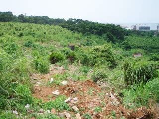 三都县公墓在哪里,城南社区背后坡迁坟公告