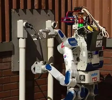 哪里可以看到黑马,如何发现大主力庄家介入黑马