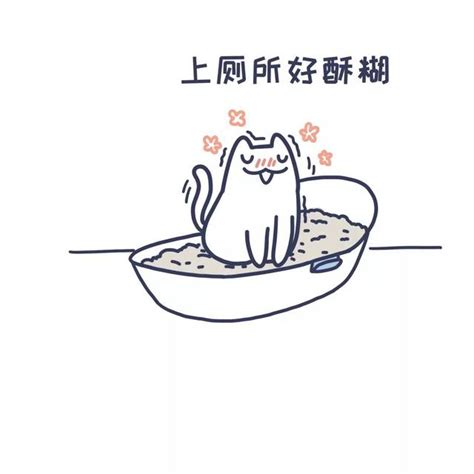 猫为什么会用猫砂盆,为什么猫会自己用猫砂