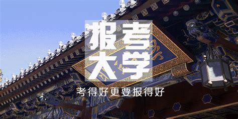 专科根据什么录取,为什么不是本科学校录取本科