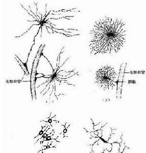 怎么组织教学活动,该怎么组织教学