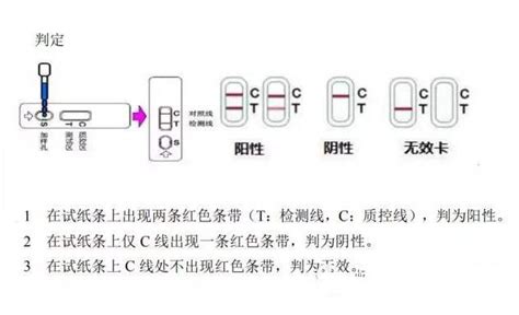 猪瘟的治疗方法,浅析猪瘟的几种治疗方法