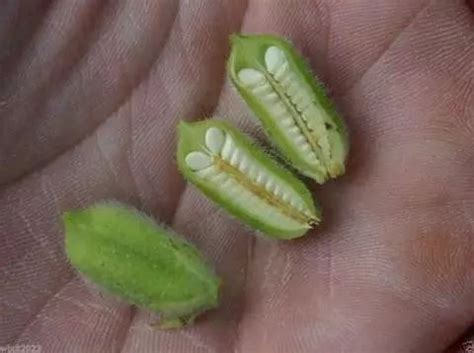 谈判信号是什么意思,如何抓住成交信号