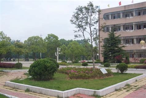 山东聊城还有什么大学,山东聊城大学具体情况如何