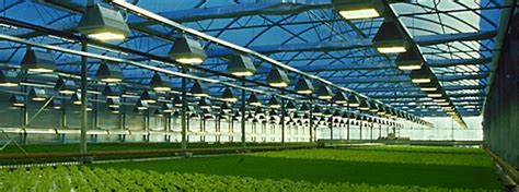 机械专业有什么前景,本人二本机械专业