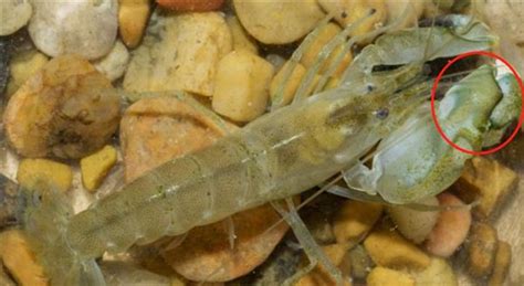 和舰科技,前程无忧名企招聘