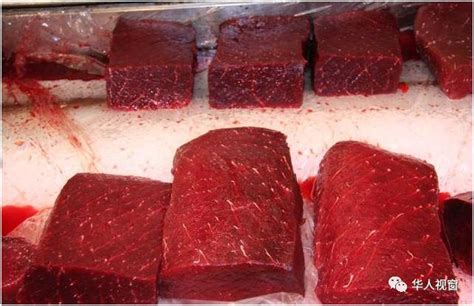 中国为什么不卖鲸鱼肉,为什么日本人要吃鲸鱼肉