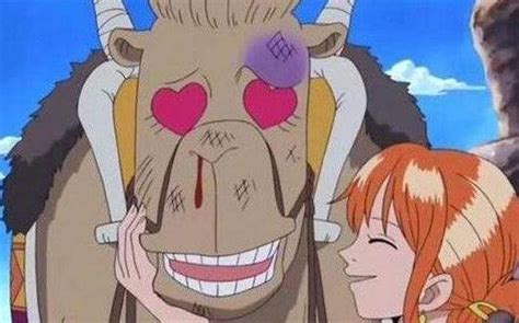 为什么病毒可以水传播,河流或湖泊传播