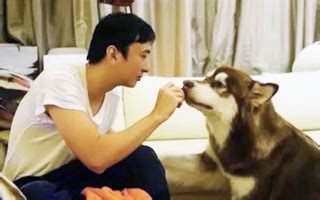 如何利用互联网赚钱,互联网怎么赚钱