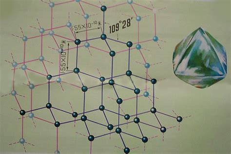 性别含义寓意及印象是什么,斯金格