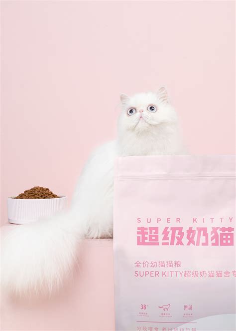 小奶猫一次吃多少猫粮,猫能吃狗粮么