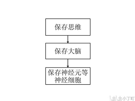 脑细胞为什么产生意识,组成的大脑为什么会产生意识