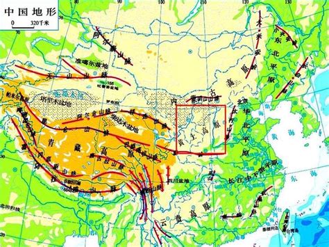 周口大河林业在哪里,河南省周口大河林业怎么样