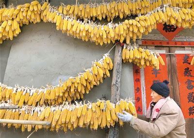 辉县粮食钱什么时候发,延津有个辉县屯