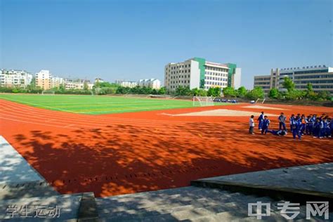 垫江桂阳学校怎么样,2019年重庆中小学高级