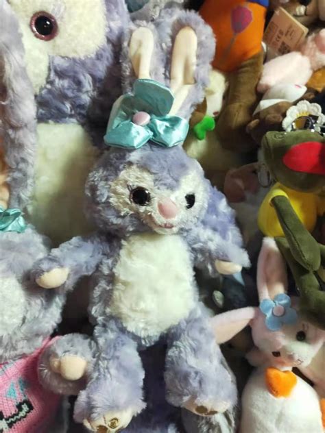 泰迪狗毛色越来越浅泰迪毛色不好怎么办,泰迪什么毛色便宜