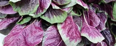 2016年618分能上什么大学,618分能上南京理工大学吗