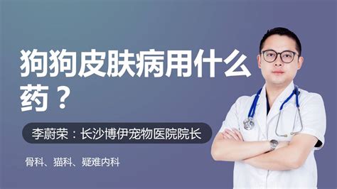 狗拉稀吃什么药,幼猫拉稀能吃什么