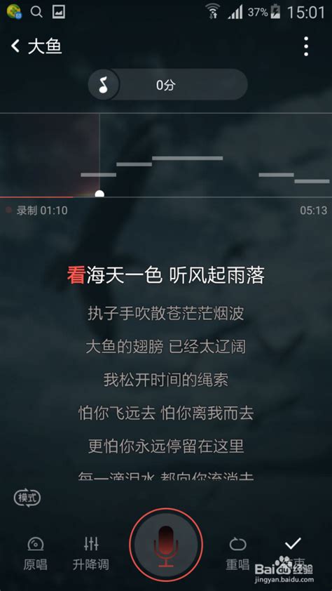 哪个手机唱全民K歌好,有什么好用的手机k歌软件