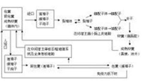 为什么狗会得弓形虫,全面解读弓形虫