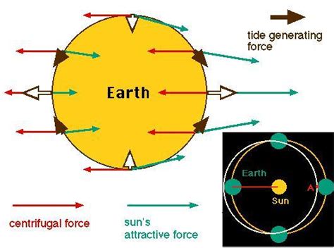 小米6与三星差距在哪里,为什么三星的质量不如小米