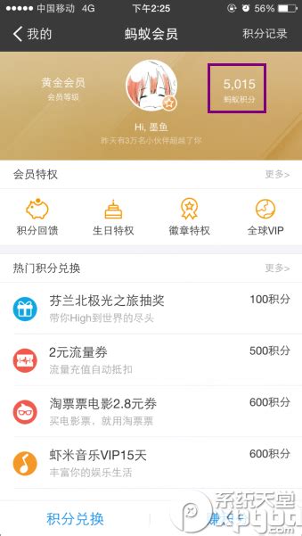 支付宝黄金会员在哪里,黄金会员有什么用