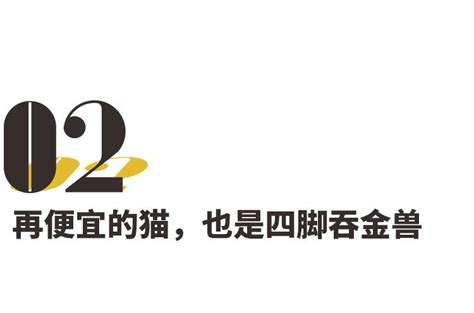 为什么在农村有些家里进了狗狗狗突然学狼叫预示着什么,狗跳楼预示着什么