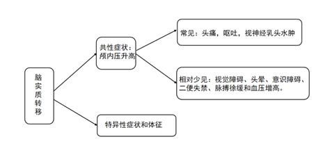 口腔医学技术专业是指什么,口腔专业好不好